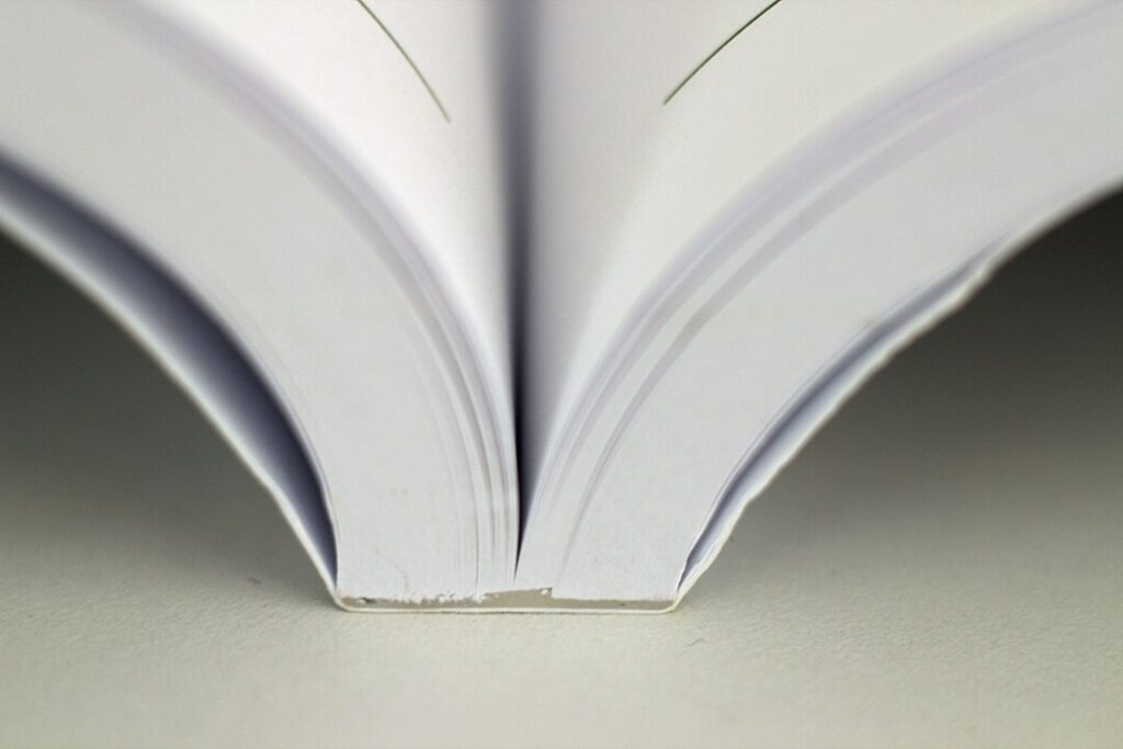 Pick Up a Paper Novel