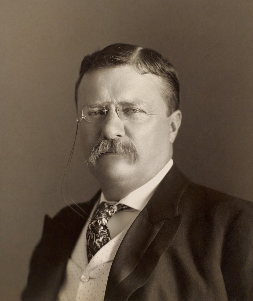 Theodore Roosevelt: Rising from Rough Rider
