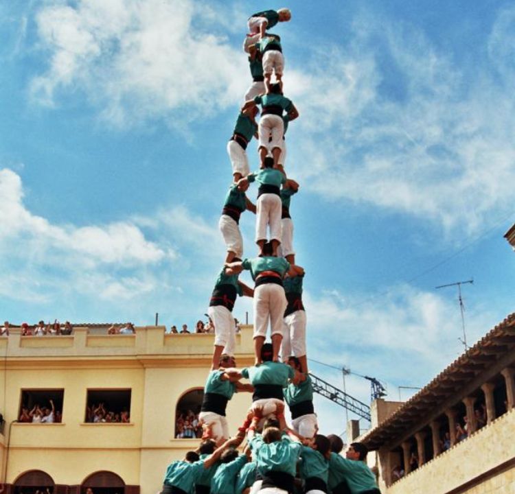 Embrace Community and Collaboration