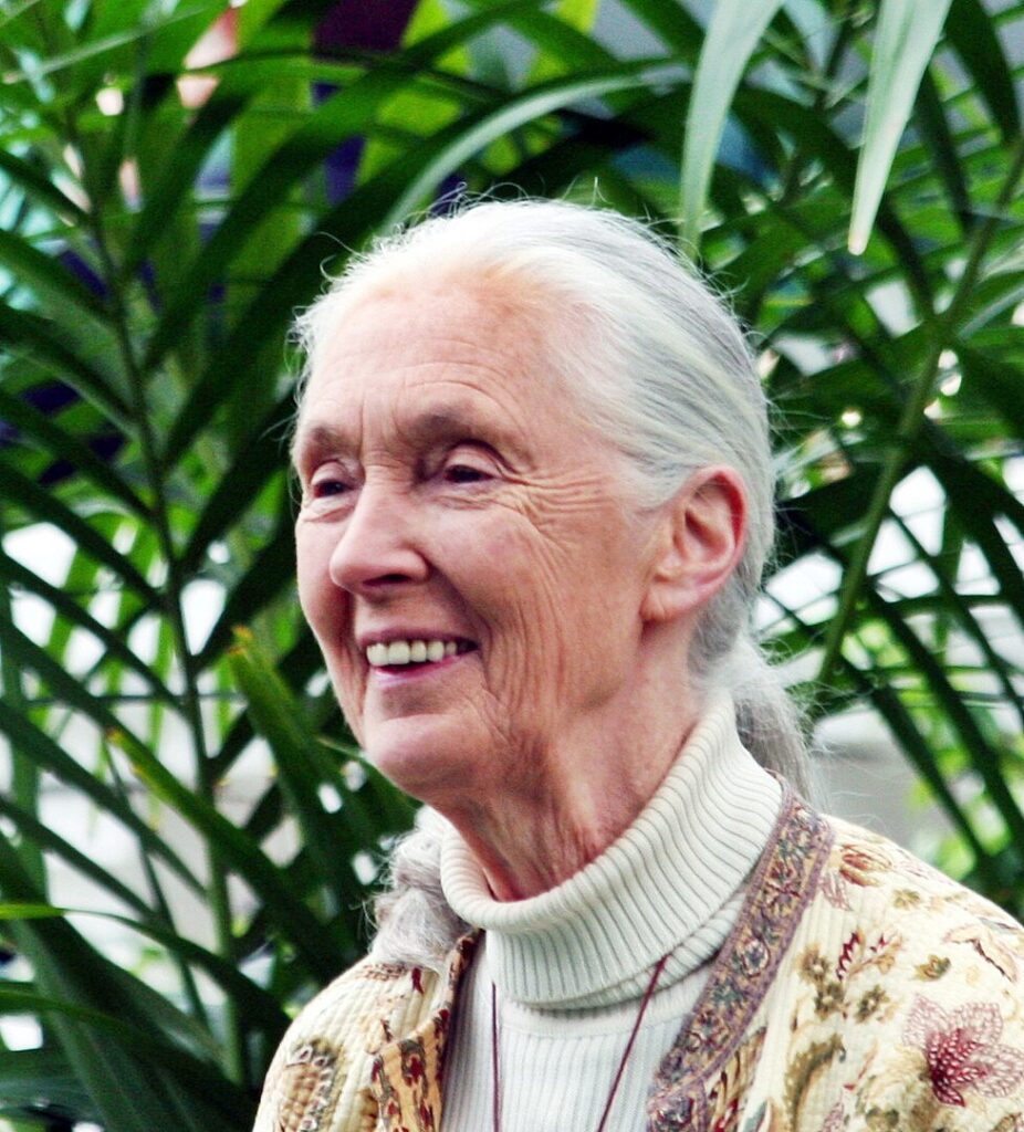 Jane Goodall: Champion of Chimps