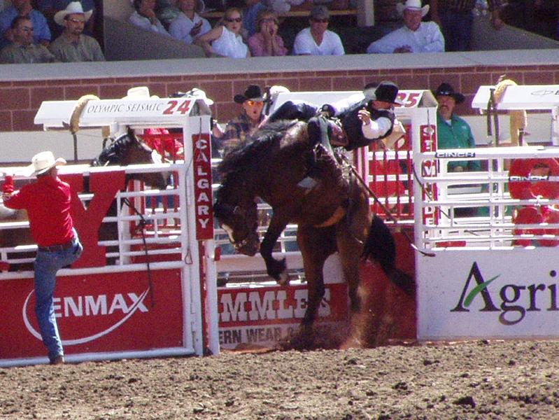 Prescott Frontier Days: Birthplace Connections