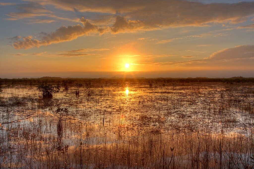 Everglades: The River of Grass