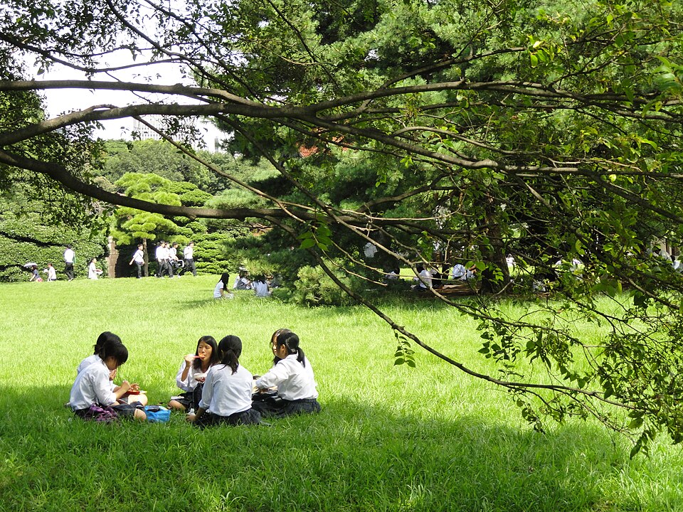 Leisure Activities and Picnics
