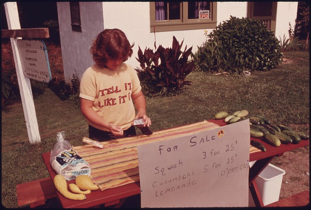 Lemonade Stand Legal Limbo