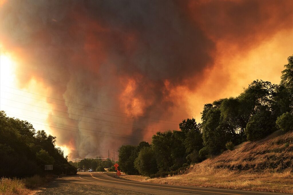 Wildfires