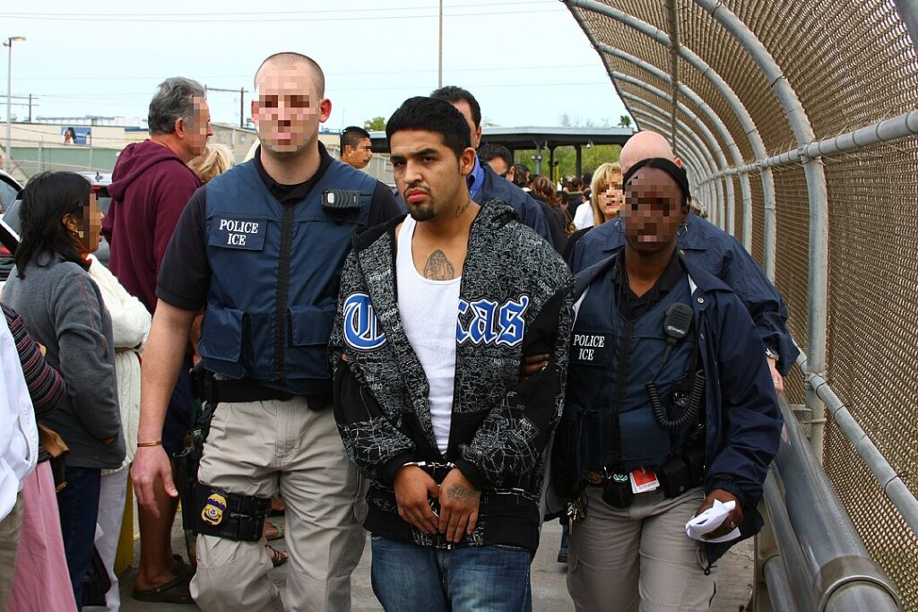 Illegal Ice Delivery Cartels