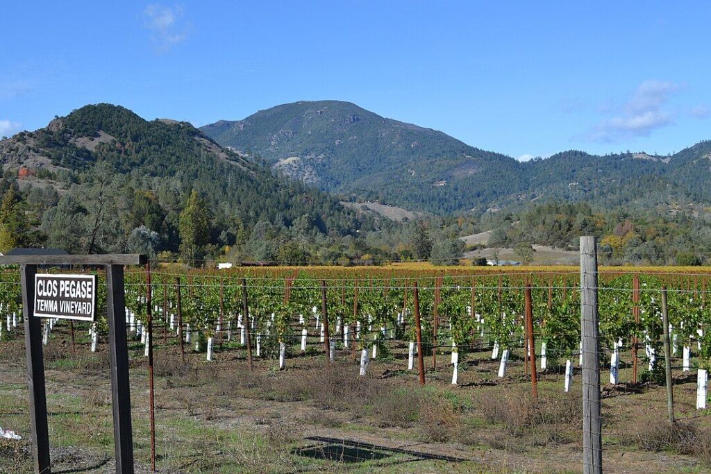Napa Valley’s Wine Heritage in St. Helena
