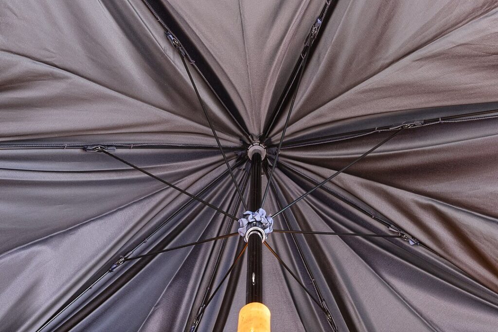 Opened Umbrella