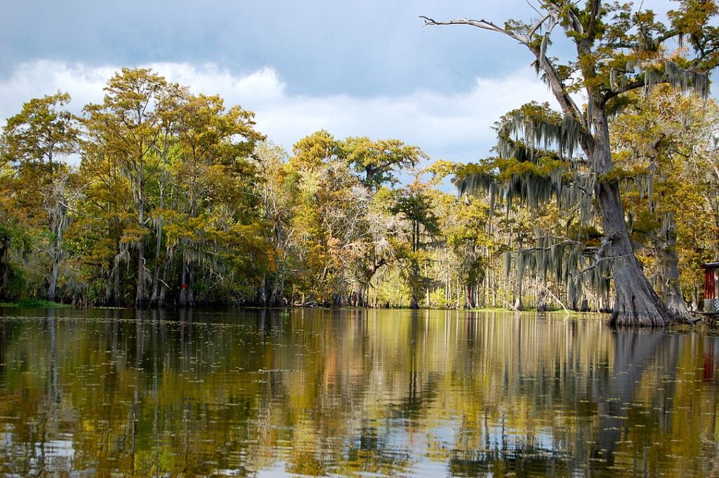 Louisiana: Environmental Challenges on the Bayou