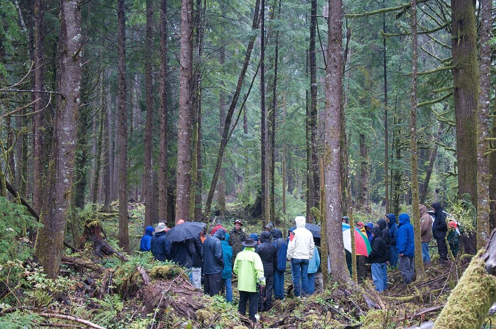 Oregon: Leading with Sustainable Forestry