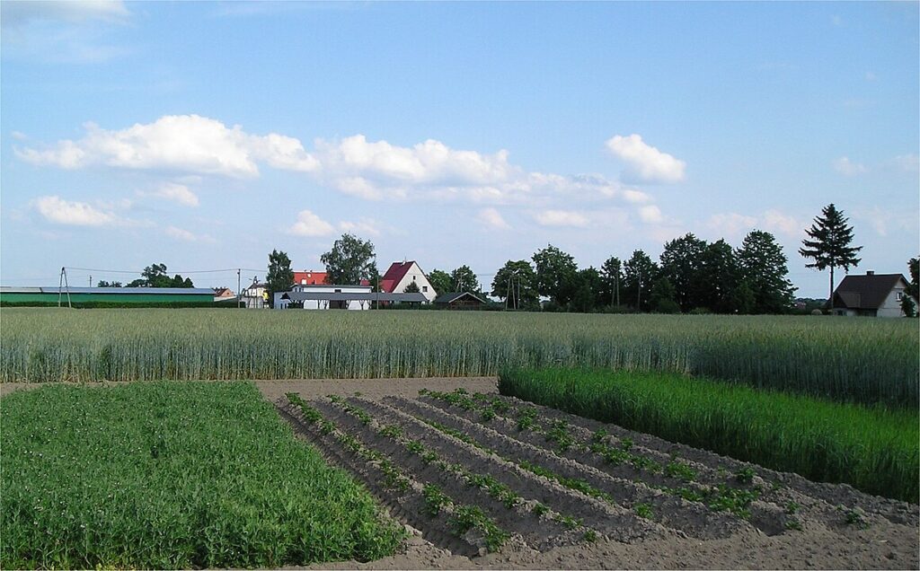 Advancements in Agriculture