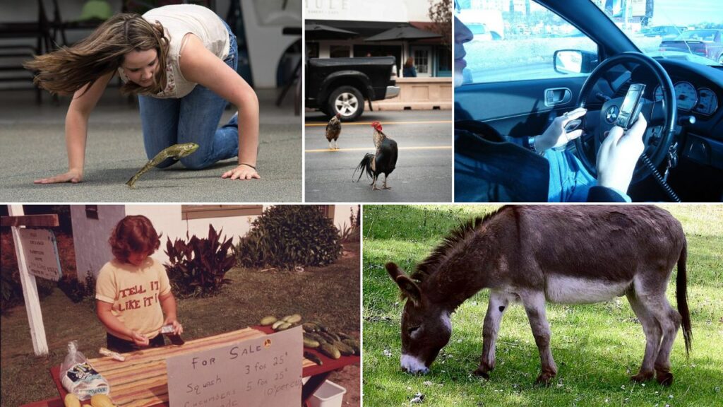 8 Bizarre Laws That Still Exist in U.S. States