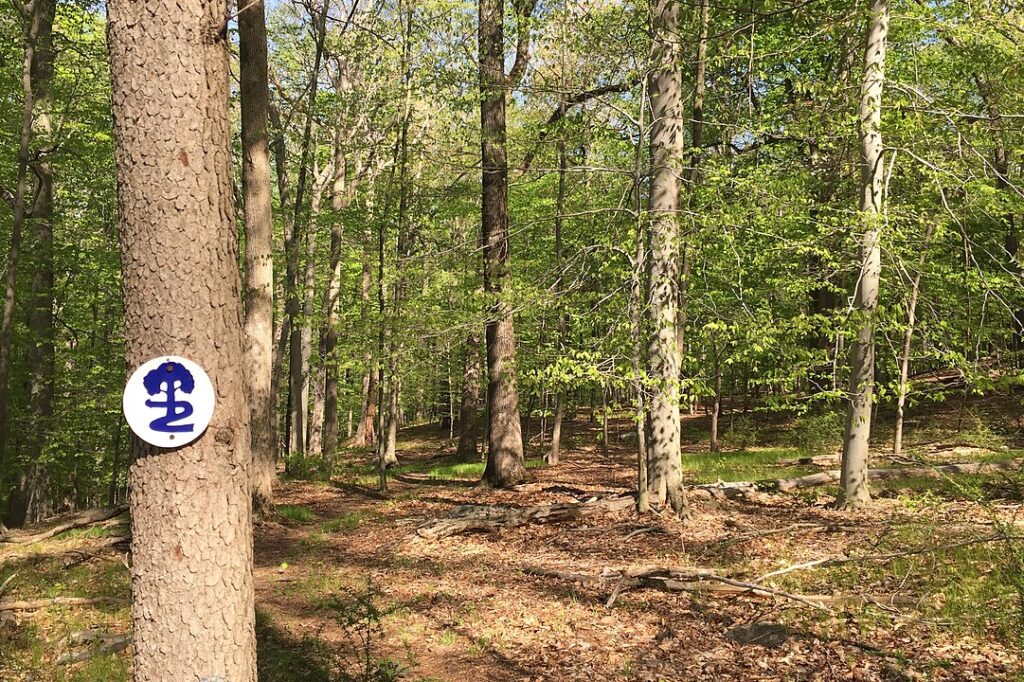 Lesser-Known Patriots’ Pathway