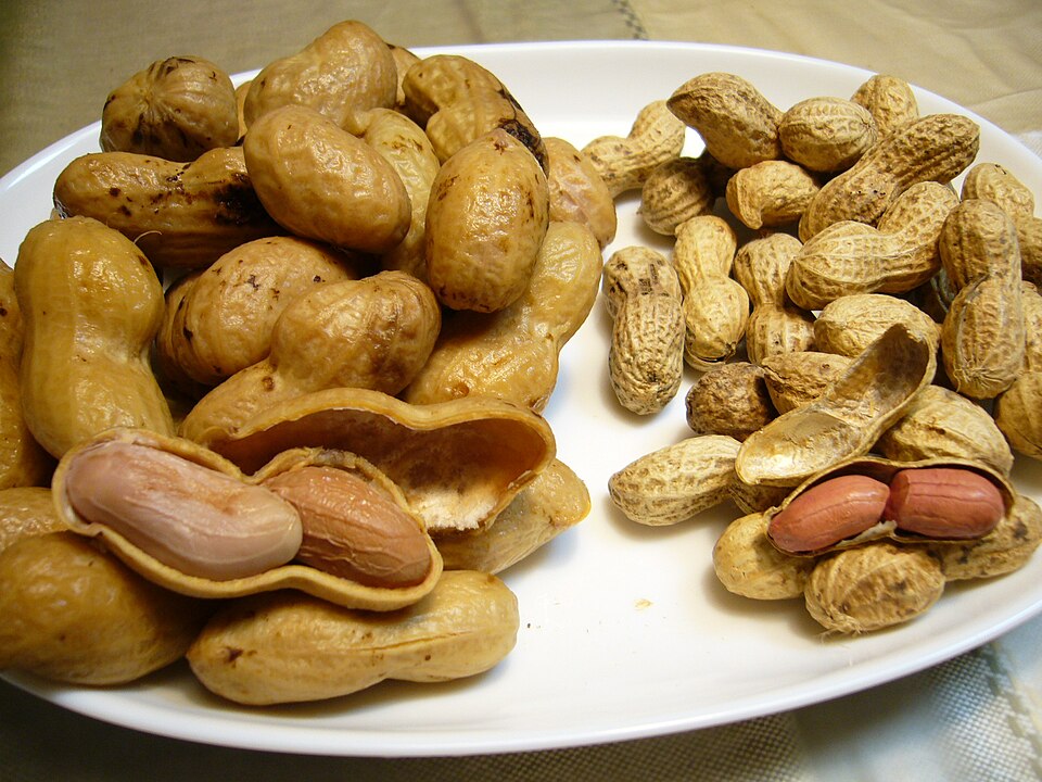 Boiled_big_peanuts
