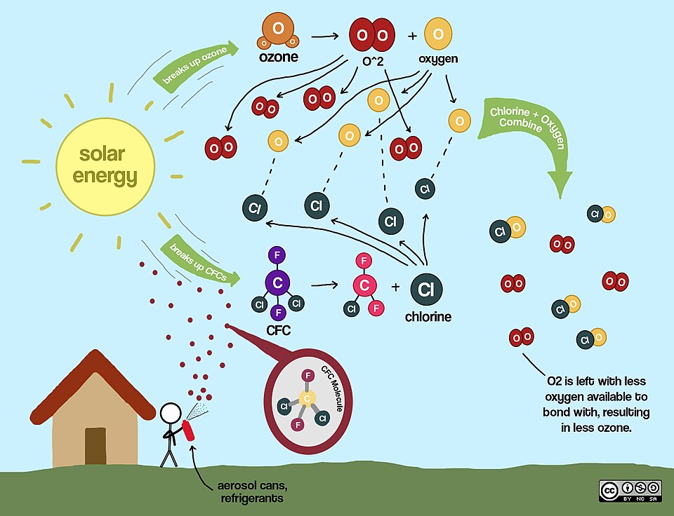 CFCs_&_Ozone