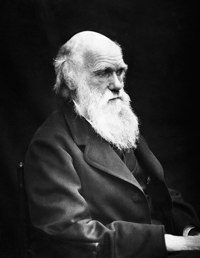 Darwin’s Survival Misquote