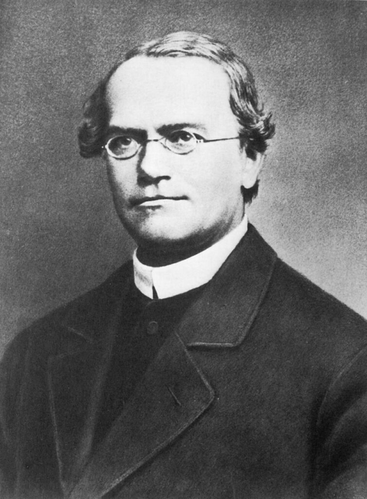Mendel’s Genetic Breakthrough