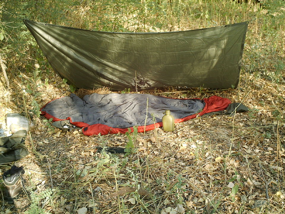 Shelter