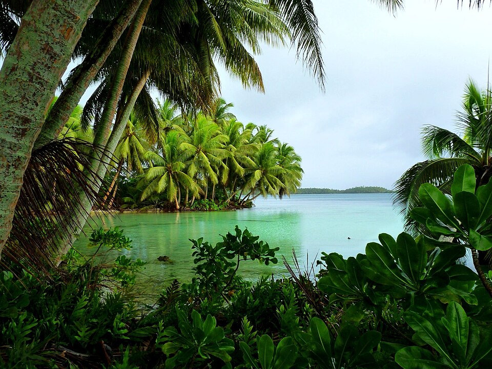 Palmyra Atoll: Rich Natural Reserve