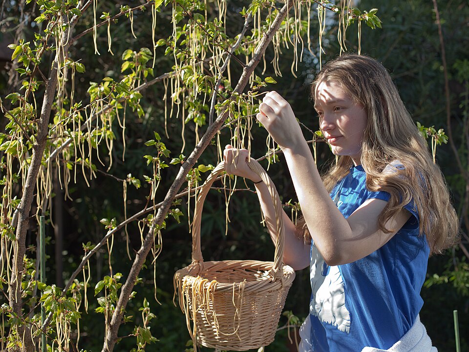 Spaghetti Trees: Combating Hoaxes