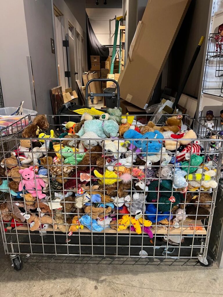 Beanie Babies: A Plush Phenomenon