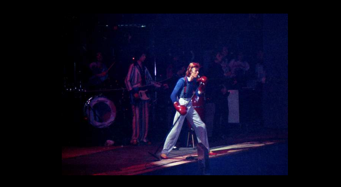 Diamond Dogs