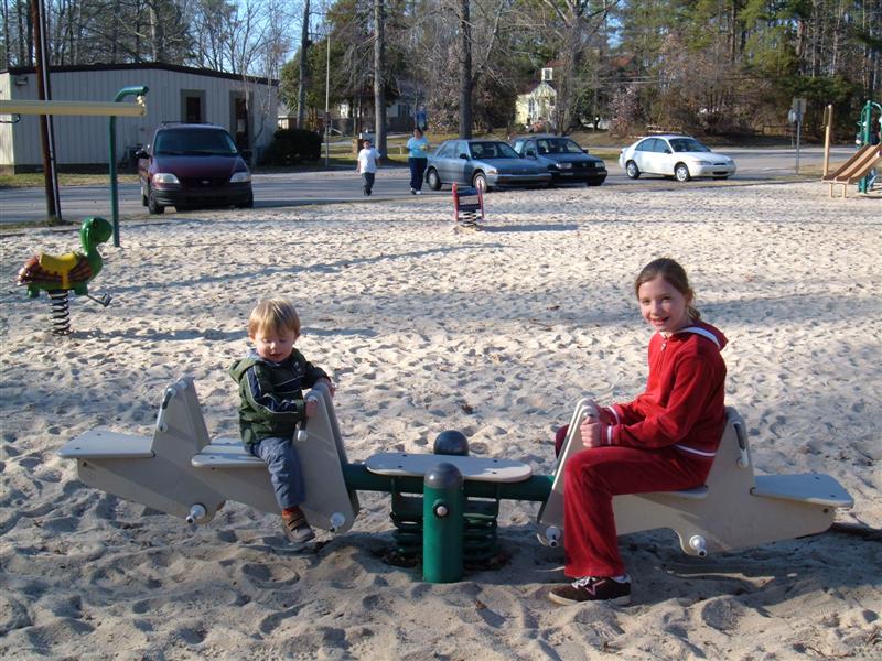 Seesaw Struggles: Balancing Risks