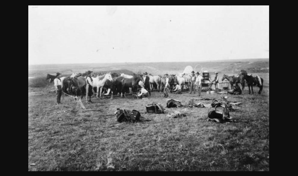 Hardships Cowboys faced