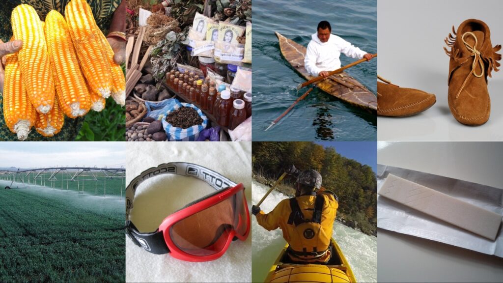 12 Native Contributions Collage