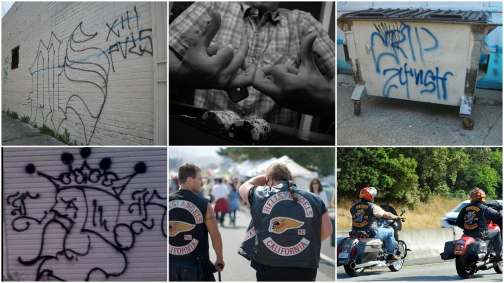 Most Infamous Gangs in American History