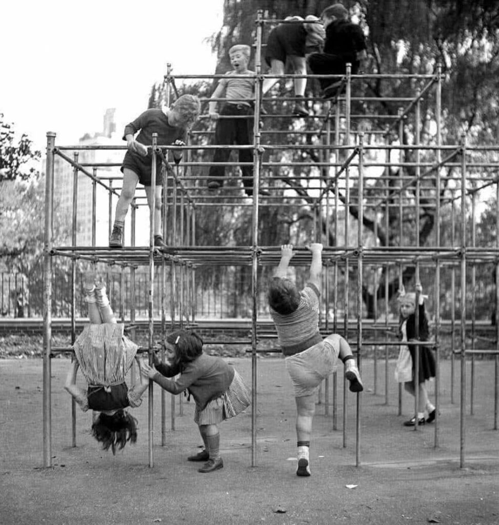 Monkey Bars Mayhem: Not Just Monkey Business