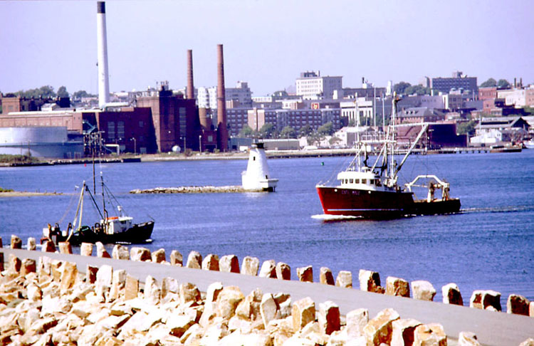 Forgotten Waves of the Atlantic Mural