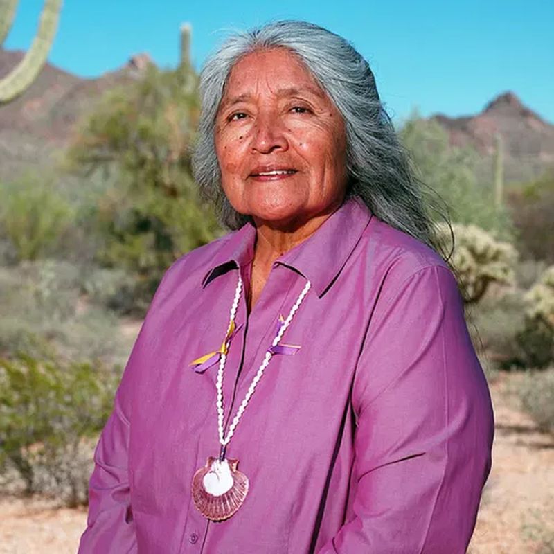 Ofelia Zepeda: Protector of Language and Culture
