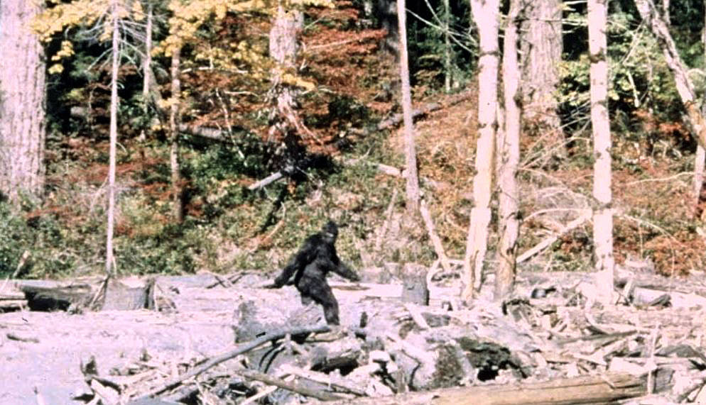 International Cryptozoology Museum: Creatures Unknown