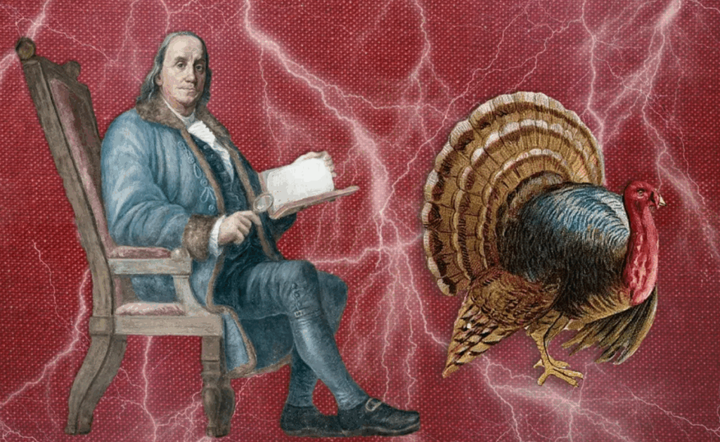 Turkey Experiment