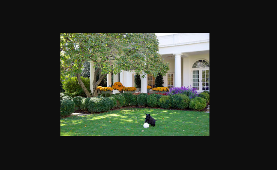 Oval Office Garden Meetings
