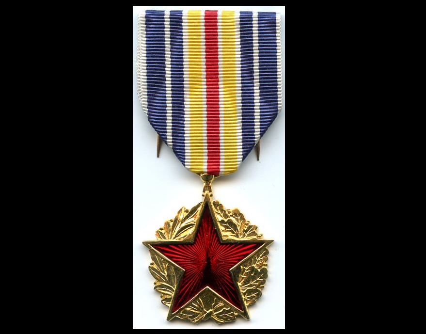 The Army Wound Ribbon