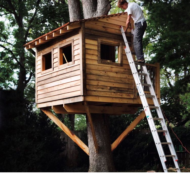 Building Forts and Treehouses