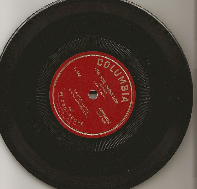 Listening to Vinyl Records