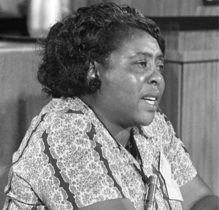 Fannie Lou Hamer: Courage and Power in Action
