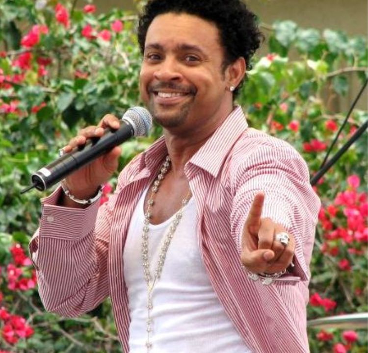 Shaggy: Reggae Star and Gulf War Veteran