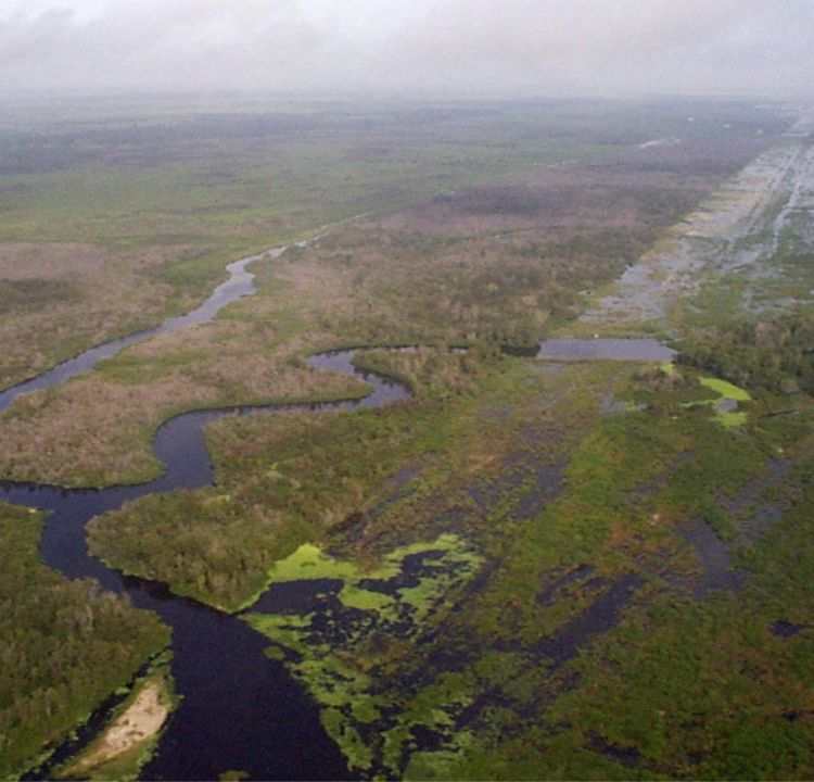 Florida: Saving the Everglades
