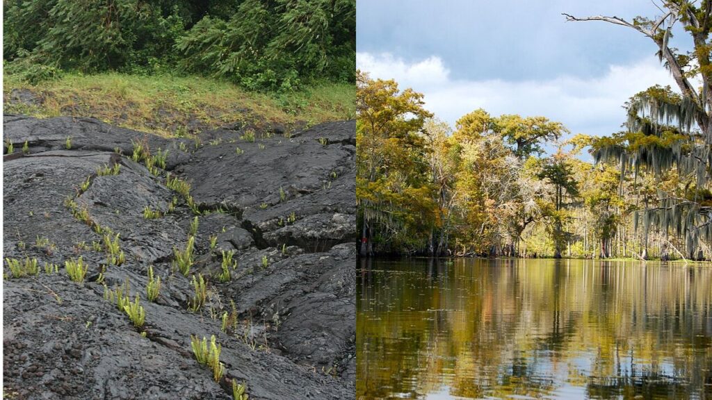 10 Unexpected States That Shaped America's Environmental Movement