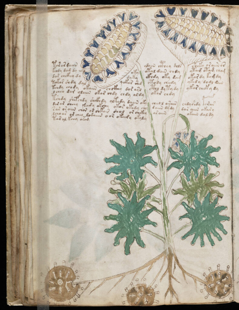 Voynich_Manuscript