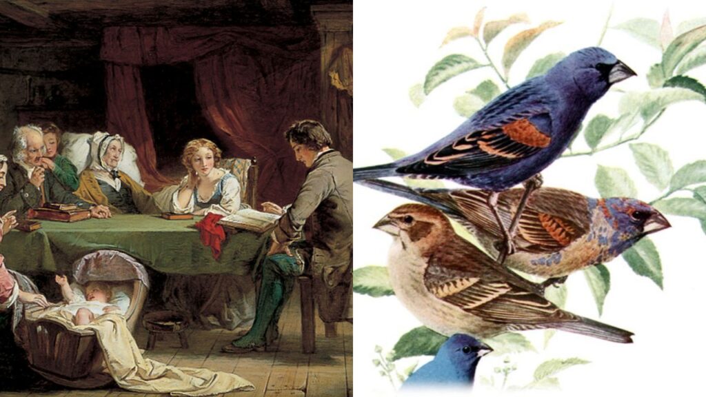 14 Quirky Laws from America’s Past