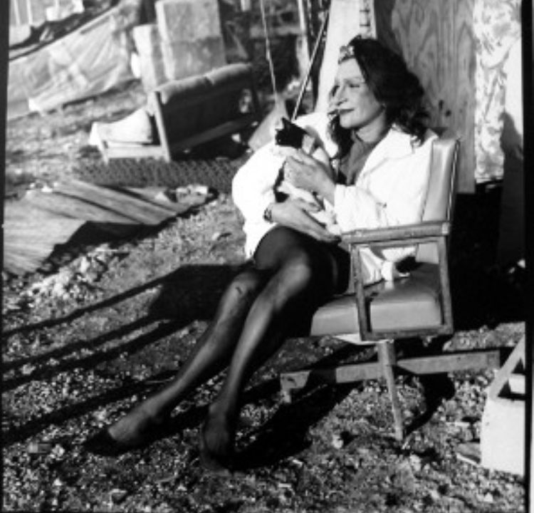 Sylvia Rivera: Voice for the Marginalized