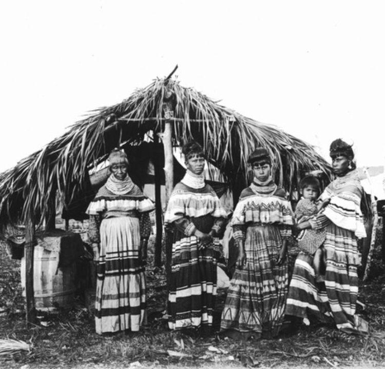 Seminole Tribe: Everglades Enclave