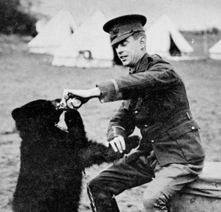 Winnie the Pig: The War Mascot