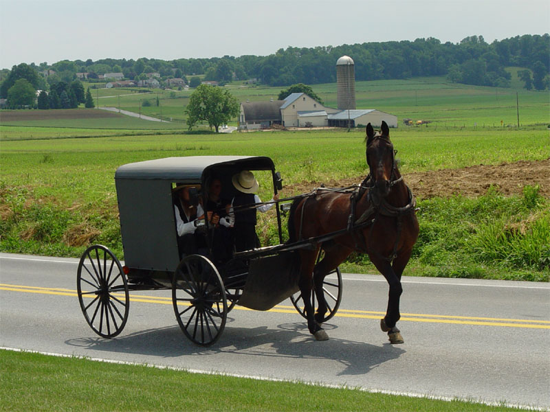 Whispers of Change: Amish Growth Patterns
