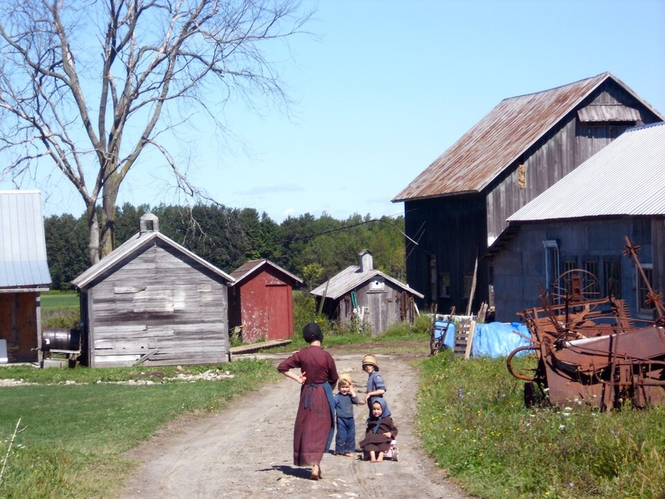 Economics of Amish Town Acquisitions